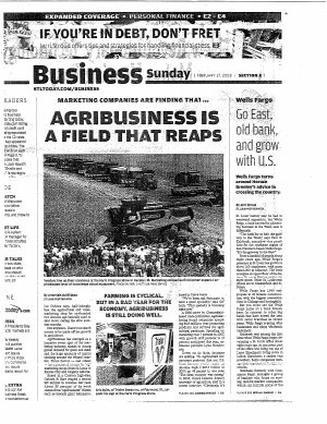 St. Louis Post — article on Wells Fargo document preview